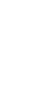 bladoutline