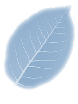 blad3
